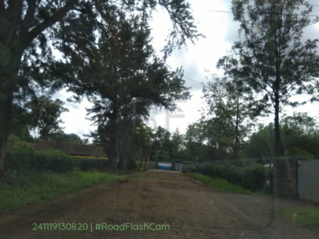 roadflashke's tweet photo. On the road: @amugox12 #RoadFlash https://t.co/Fnk06SkaVQ