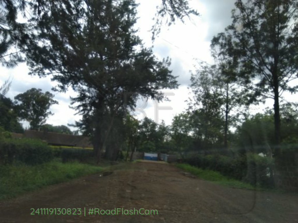 roadflashke's tweet photo. On the road: @amugox12 #RoadFlash https://t.co/ZuLW0o7S9N