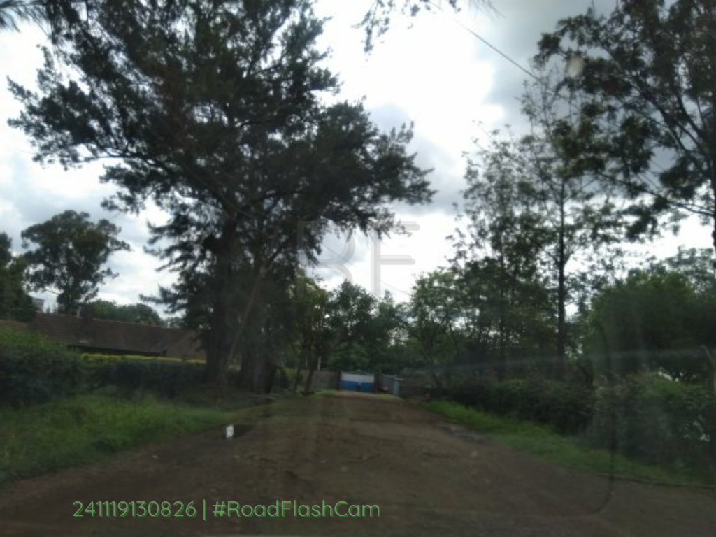 roadflashke's tweet photo. On the road: @amugox12 #RoadFlash https://t.co/bsmORuh1gp