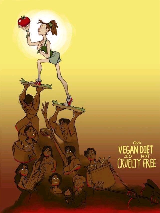 Sua dieta vegana não é livre de crueldade