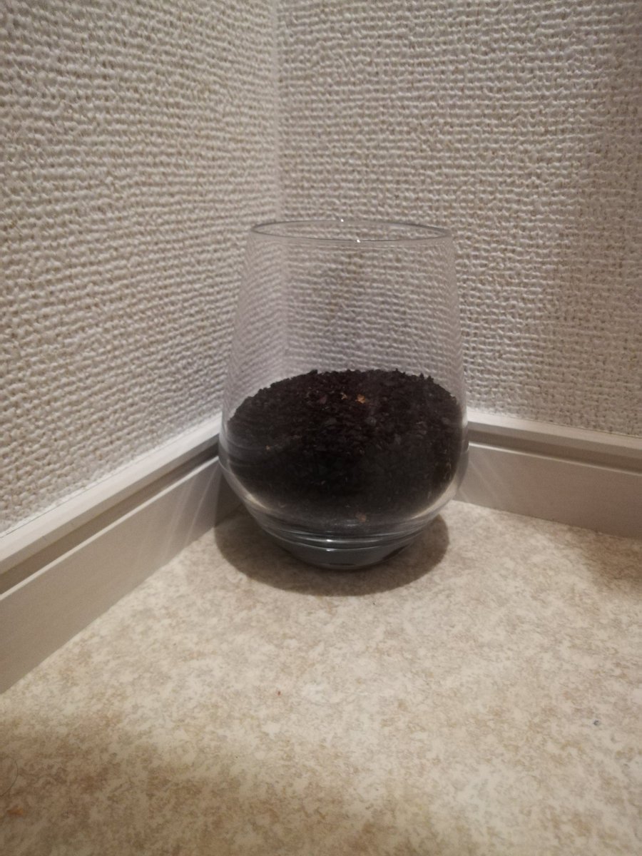 トイレの芳香剤 トイレの芳香剤