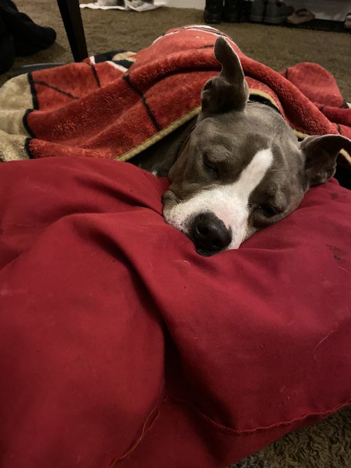 I would live a loop of My worst nightmares forever to take away his cancer.  How does this happen to