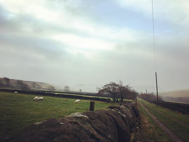 Sunday running #forthosethatcant ift.tt/34jxSxG