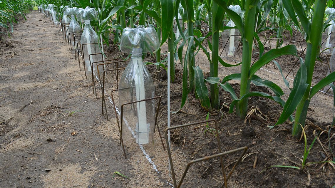 FAOKnowledge's tweet photo. 🧐 Fighting Air Pollution with a $1 Tool?

A simple, new and affordable device could help global efforts to reduce harmful air pollution caused by ammonia emissions, while improving access to food 👉 
 https://t.co/I2BLpUaBpx https://t.co/LbjqjRaAJi