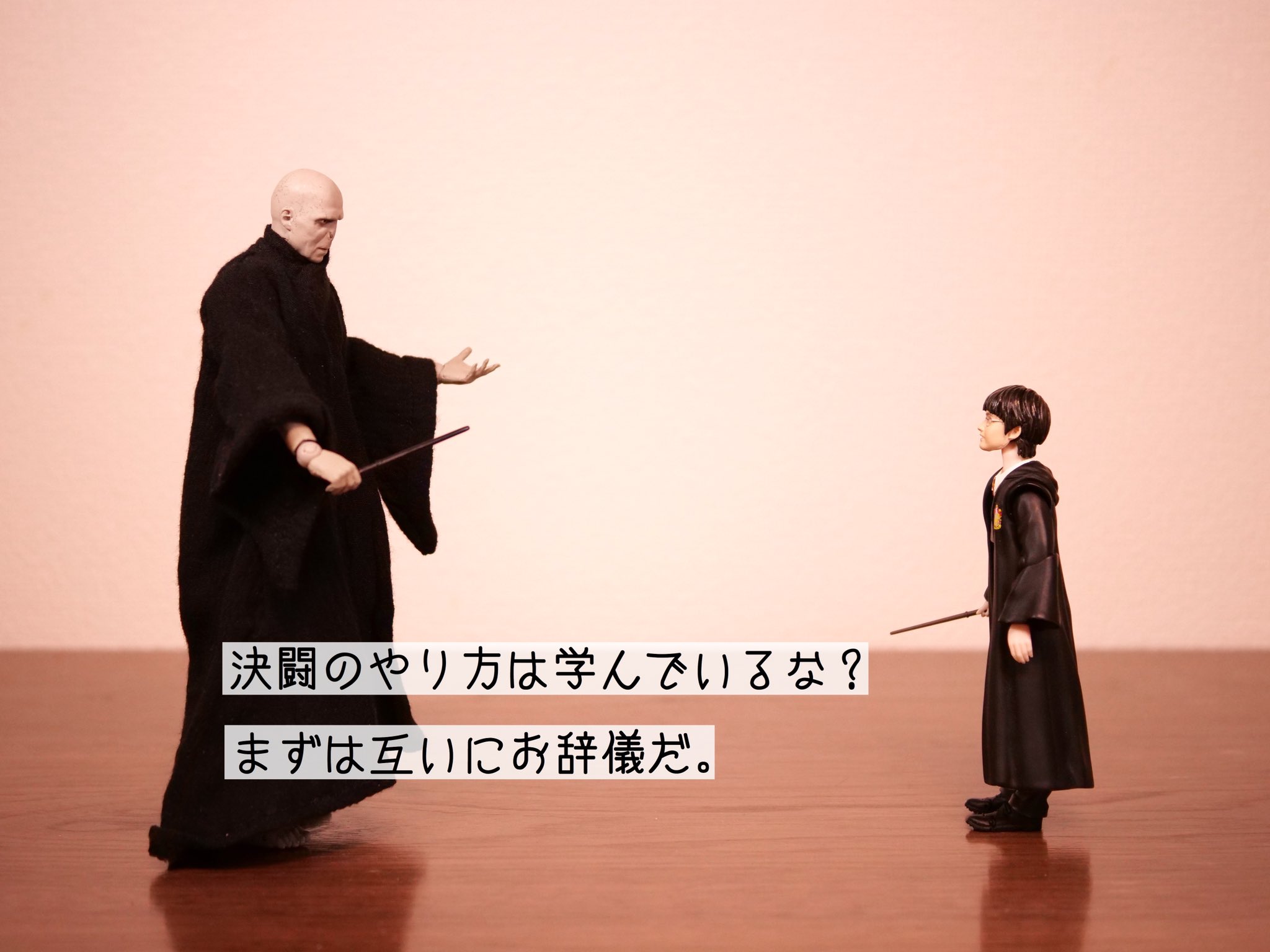 えだま 褒めるヴォルデモート えだま 褒めるヴォルデモート