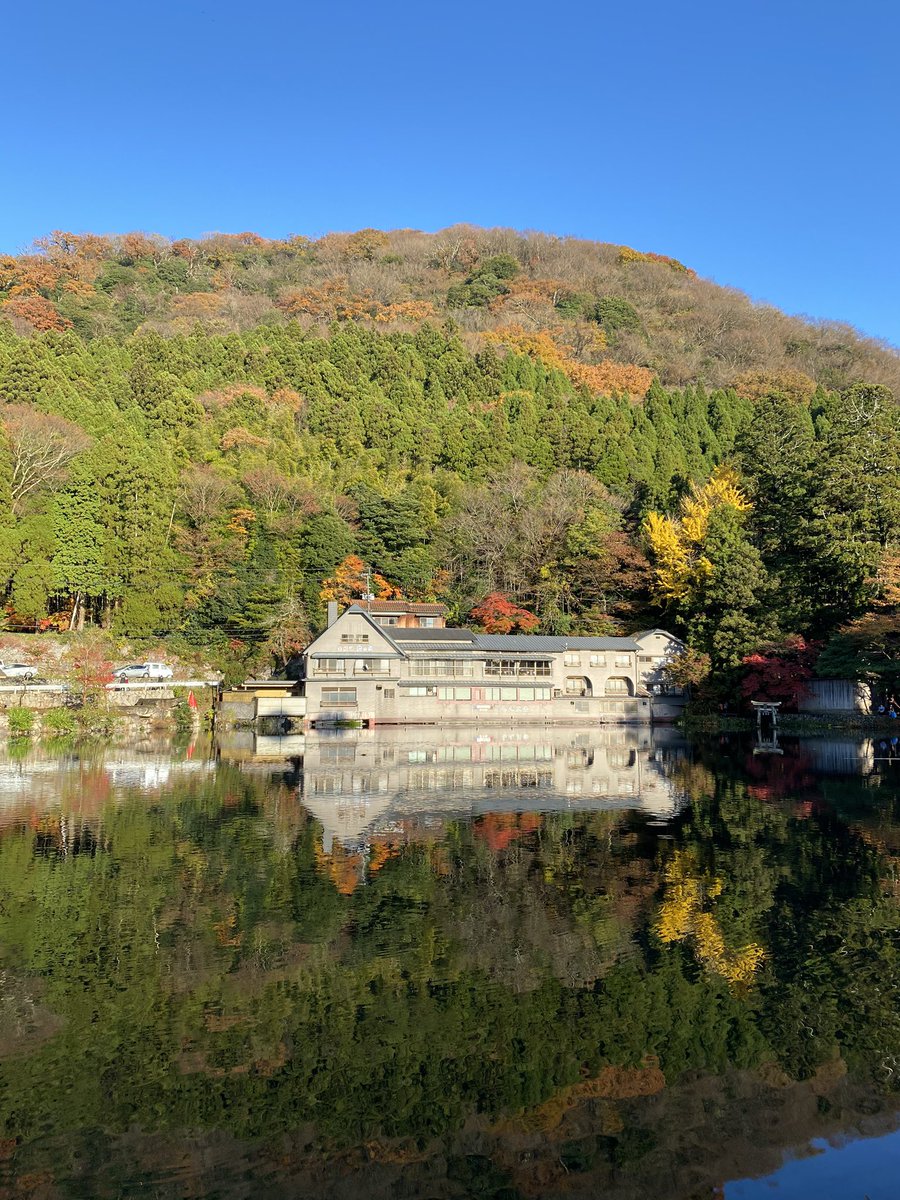 piasupi's tweet photo. 紅葉狩り🍁 https://t.co/X96sgVbQIx