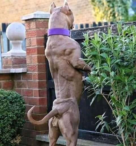 <a href="/AeigAirbnb/">#TrendyMaboneng</a> @her_hair_ness <a href="/MachetheS/">Mr #This Sammy Machethe ❁</a> <a href="/JohnCena/">John Cena</a> We really cannot see that him no matter how hard you look🤣