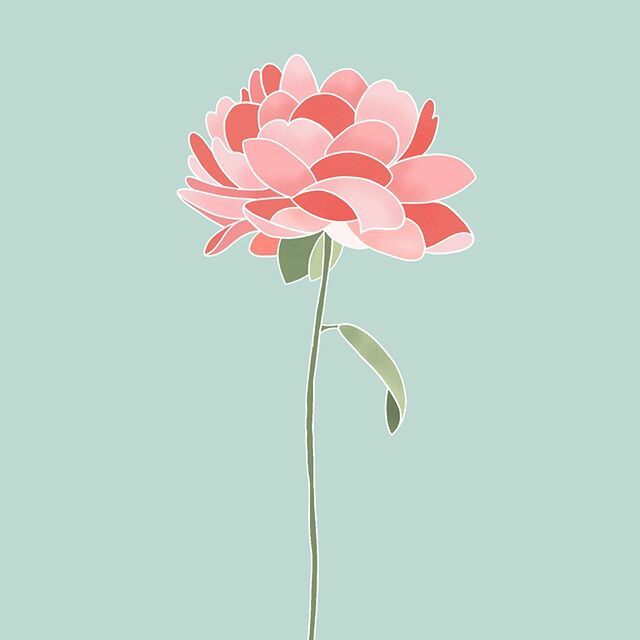 TheColorBee's tweet image. Pretty pink peony ... I think? ift.tt/2sd2KSy