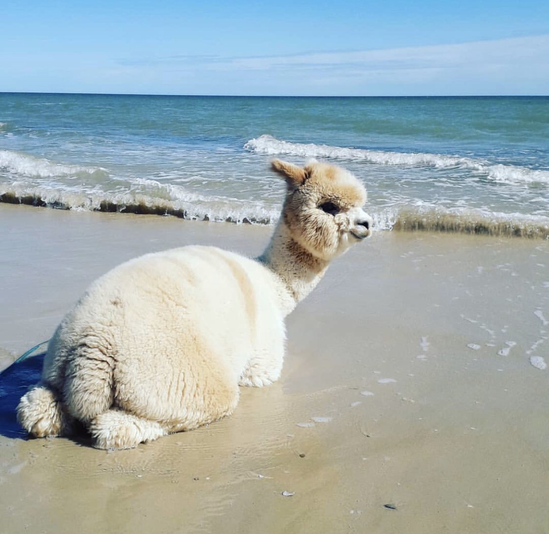 Urlaub wünsche dir schöne ich Urlaubswünsche, Grüße