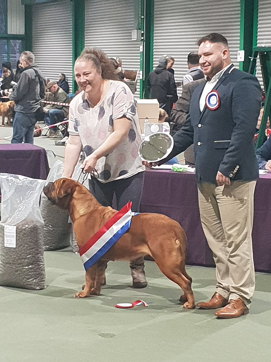 AndrewP05358182's tweet photo. Best in show on Saturday well done wife natasha van der Vliet and our black mask bodie #doguedebordeaux southern show https://t.co/IpXfhsFzNI
