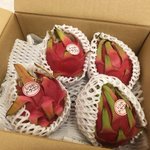 ドラゴンフルーツを大量に食べた結果？ドラゴンおしっこチャレンジ大成功!