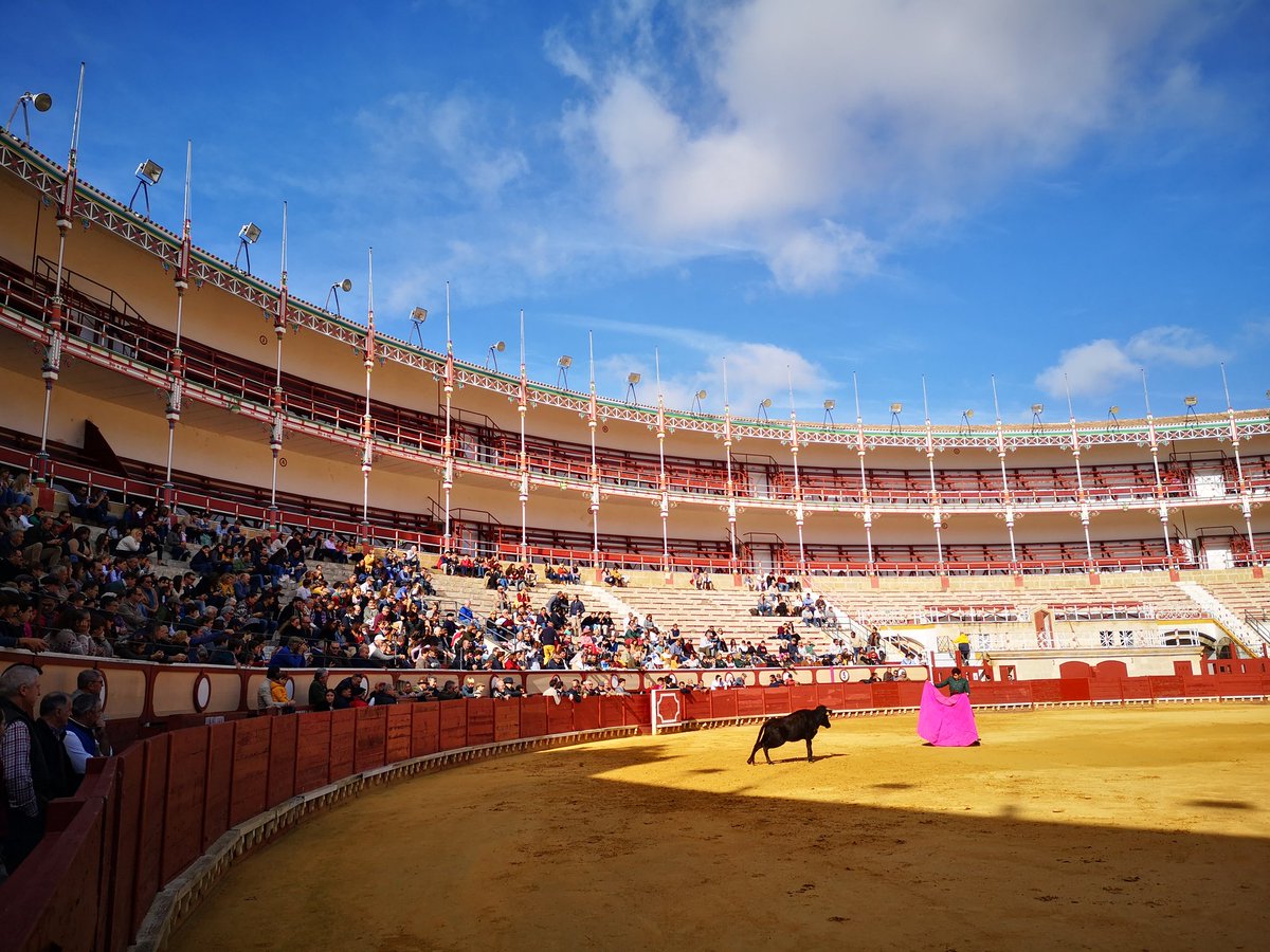 Clase práctica de <a href="/LaGallosina/">ESCUELA TAURINA</a> en la Plaza Real