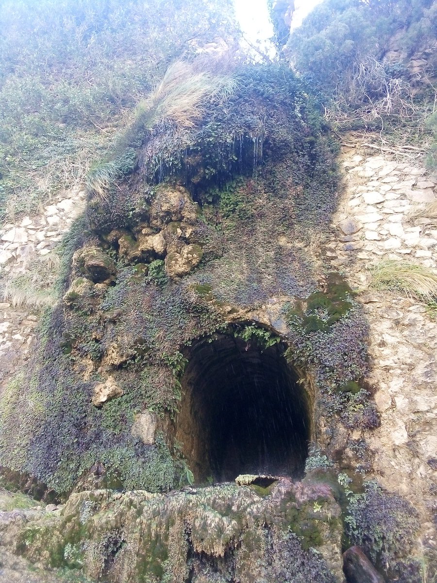 miquel_campello's tweet image. El #Pantanet de #Petrer, antiga presa construïda al S.XVII que aprofitava les aigües pluvials de les rambles procedents principalment del paratge de #Catí.
@PoblesValAbando
@caminsnatura
@sendesicamins
@SerraAmunt