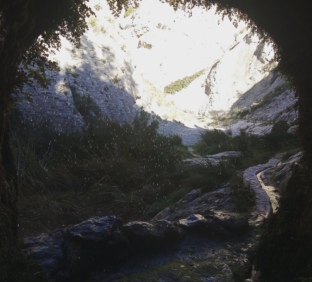 miquel_campello's tweet image. El #Pantanet de #Petrer, antiga presa construïda al S.XVII que aprofitava les aigües pluvials de les rambles procedents principalment del paratge de #Catí.
@PoblesValAbando
@caminsnatura
@sendesicamins
@SerraAmunt