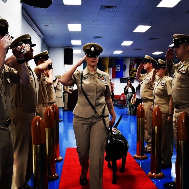 AMANDADAMASIEW3's tweet image. Retired Active Duty Navy 22 years! @TheEllenShow @NCIS_CBS