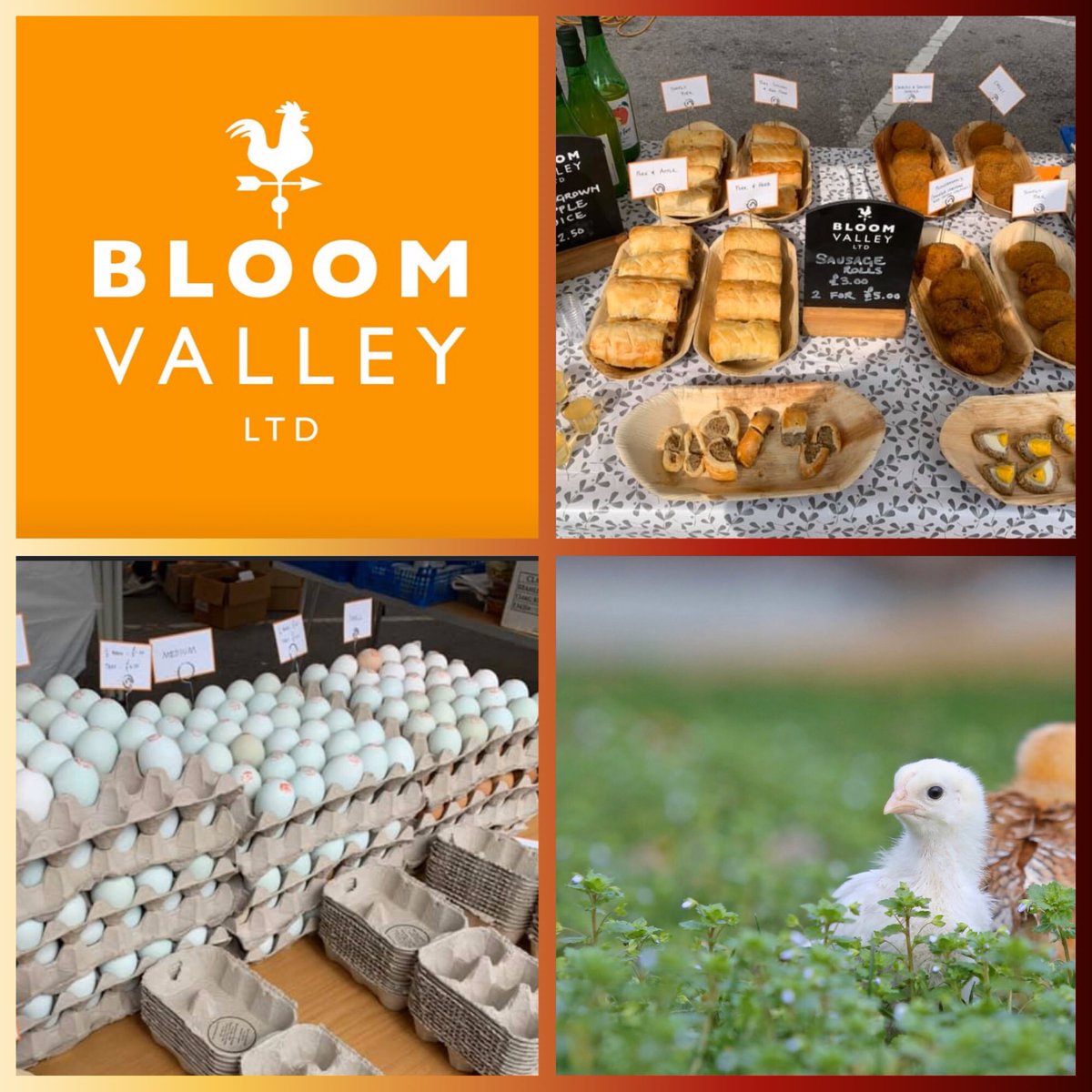 MagnificentMic5's tweet image. Rare breed free range Eggs and Pork, Scotch Eggs, Sausage Rolls and Home Grown Apple Juice are just some of the delectable delights on offer from BloomValley on Saturday 30th 9-12 Launton Village Hall.