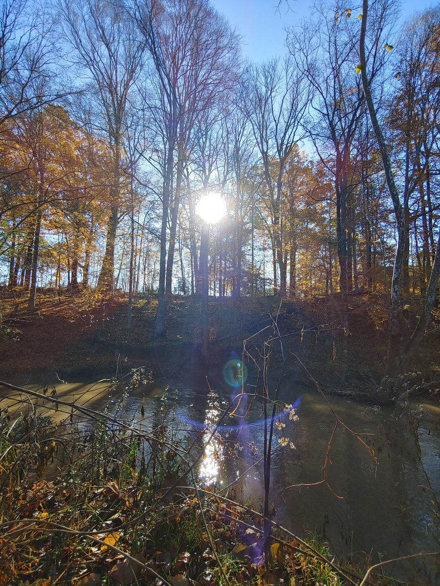 Eric Ransone tweet media