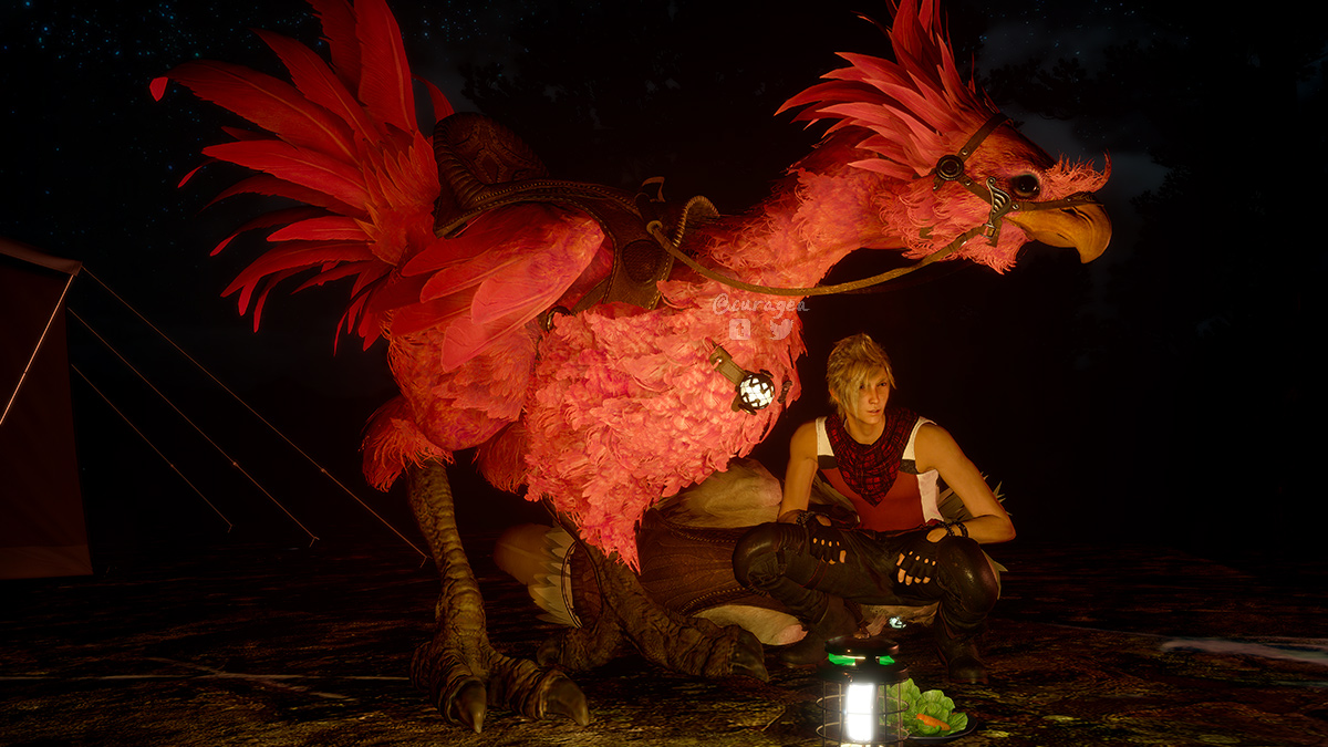 Feeding the chocobo

#FFXV #Prompto #Chocobo #FFXVSnapshot