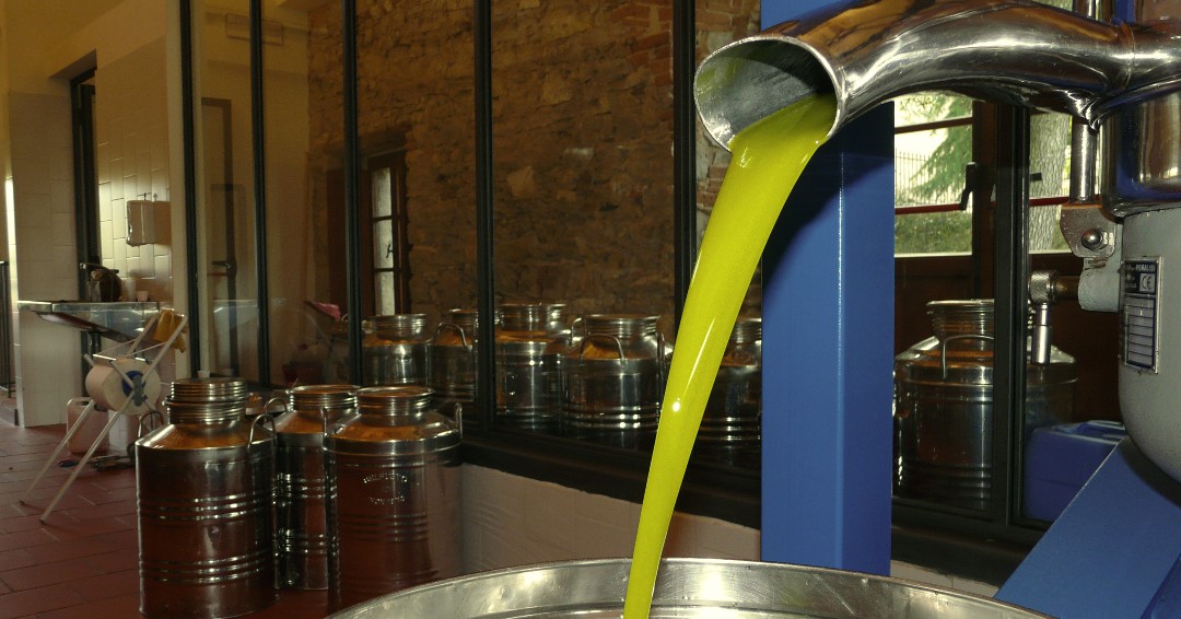 Finally our new Extra Virgin Olive Oil is here! 🙌
Autumn in Tuscany means olives harvest.
New harvest 2019 available in our E-SHOP ➡️
ow.ly/gR5550xj4cL
.
.
#castellodiama #extravirginoliveoil #oliveharvest2019