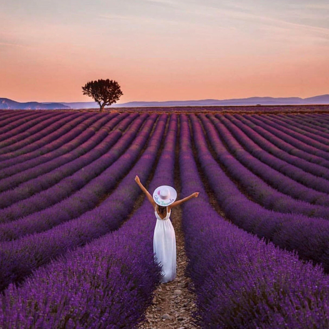 myrocksbox's tweet image. As Thanksgiving approaches, we&apos;re feeling so grateful for this beautiful world. Where is your favorite place? ✨💜   

Via @c.linetravels