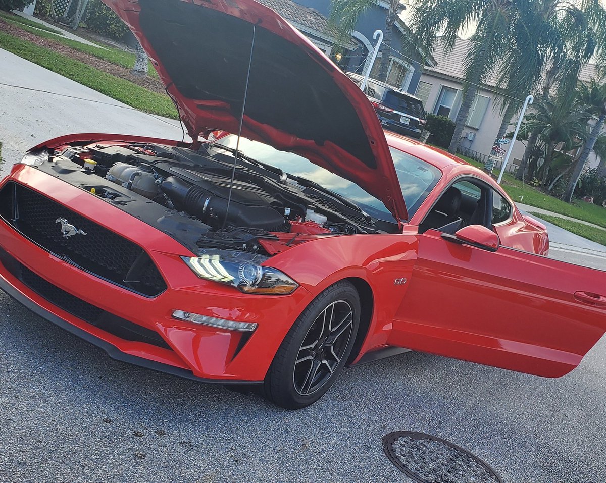 Thatstangdude65 tweet media