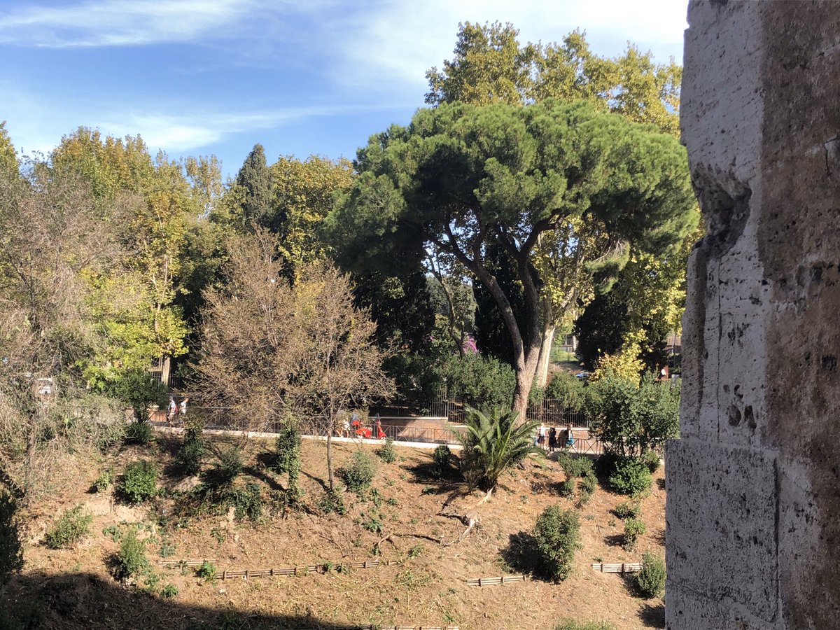 The viewpoints of how it looks from inside one of The Colosseum’s windows. It was a calming & enjoyable experience, because Telos and I both had this particular window for ourselves for awhile, making this a good spot to take a break from wandering around The Colosseum.