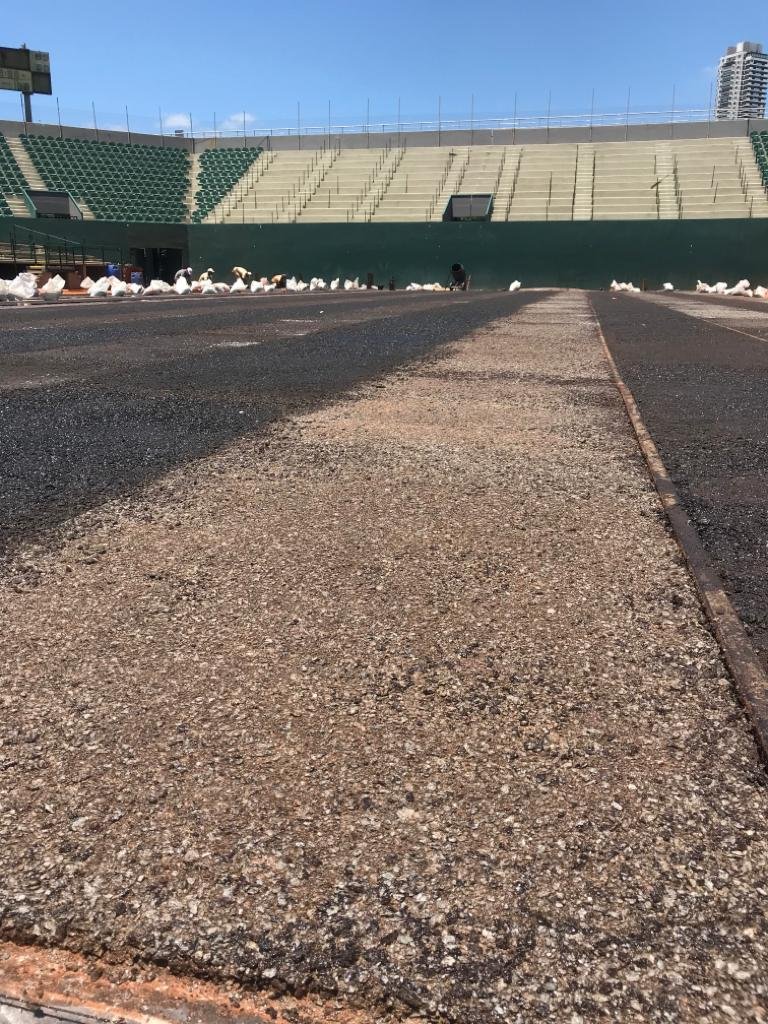 Buenos Aires L.T.C. tweet media