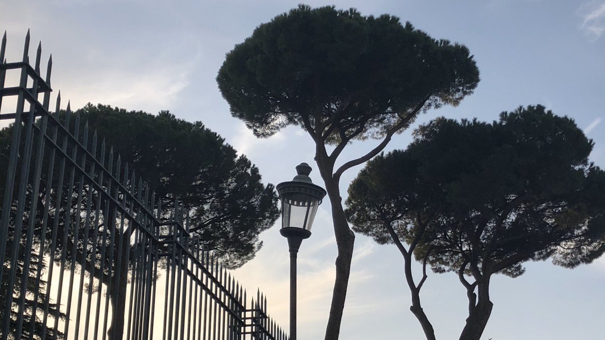 The beauty of silhouettes within the evening hours. I am very pleased to have witnessed this mysterious & wonderful sight from my time in Rome, where it shows a street lamp, a fence, and a few trees. They make this encounter of mine all the more magical.