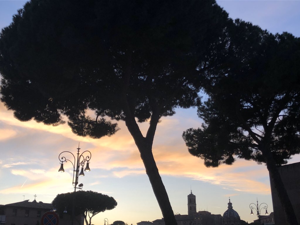 I have witnessed more beautiful silhouette sights within Rome. Only this time it was now later within the evening hours, the street lamps & trees I’ve encountered were more unique, & I can even see plentiful of ancient structures in the background. This was still very magical.