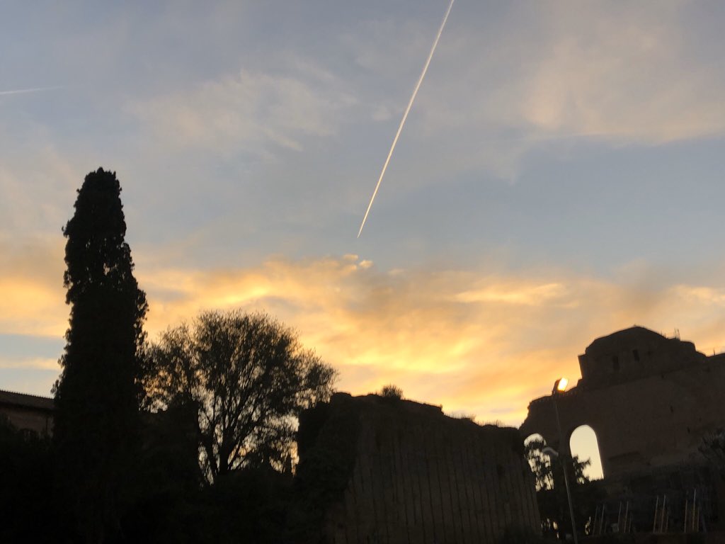 I have witnessed more beautiful silhouette sights within Rome. Only this time it was now later within the evening hours, the street lamps & trees I’ve encountered were more unique, & I can even see plentiful of ancient structures in the background. This was still very magical.