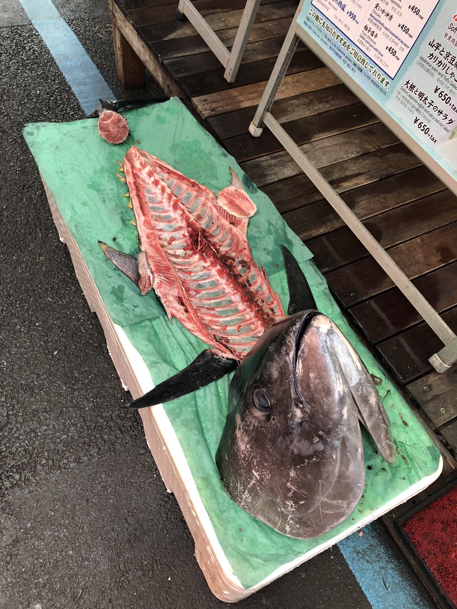蝿虻蜂 今日は母親と築地で魚食べて深川不動堂で護摩見てきたん 深川の護摩はほんとオススメですん