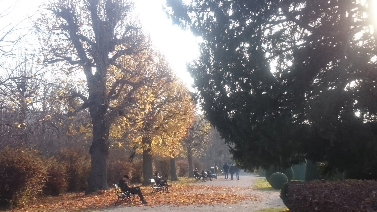 cheerssu's tweet image. #Spätherbst in #Schönbrunn #wienliebe #Vienna @StormHour @EarthandClouds