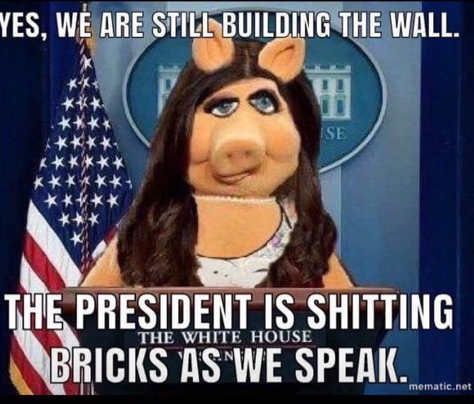 Corin Lynn (@sinful_corin_v) on Twitter photo 