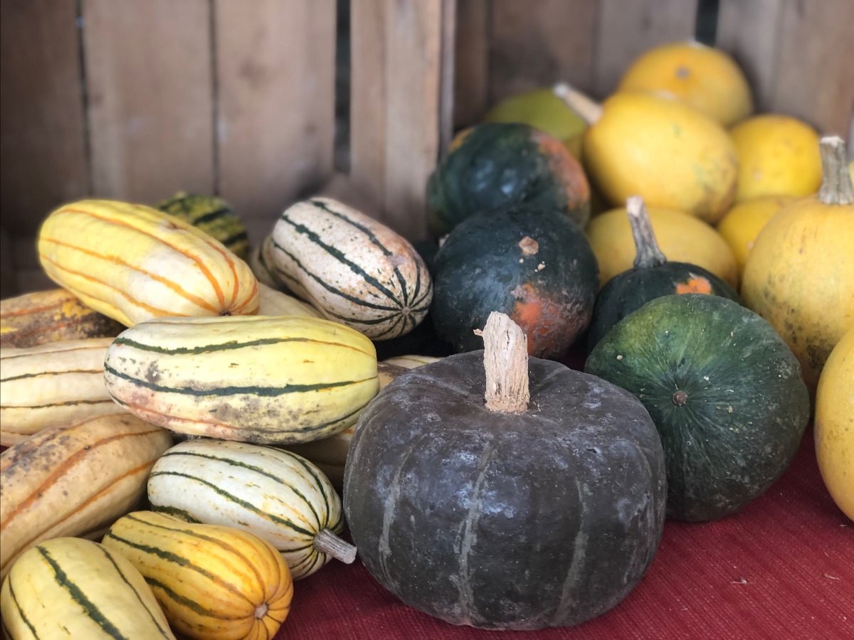 NOVAFoodworks's tweet photo. Tysons Farmers Market CLOSED TODAY - due to high winds! - https://t.co/h41OO9Linq https://t.co/0OzvcyLYYn