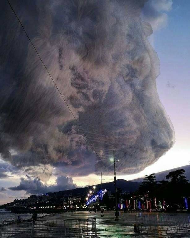 Андрей tweet media