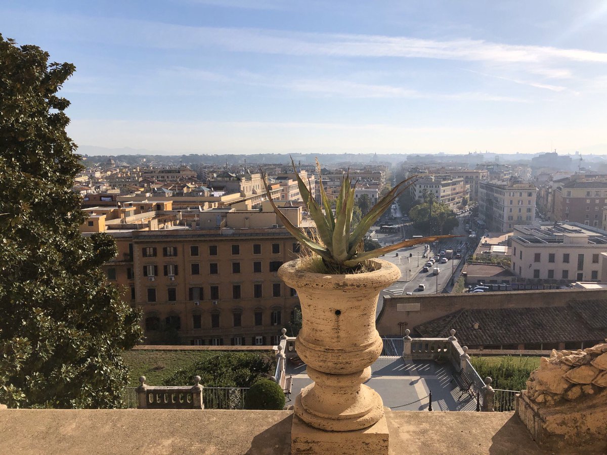 The outside balcony of The Vatican Museum. It brilliantly shows a glorious view of the city of Rome, & it is nicely accompanied by the plants that reside within the flower pots made out of stone, while The Sun shines greatly above. How relaxing.