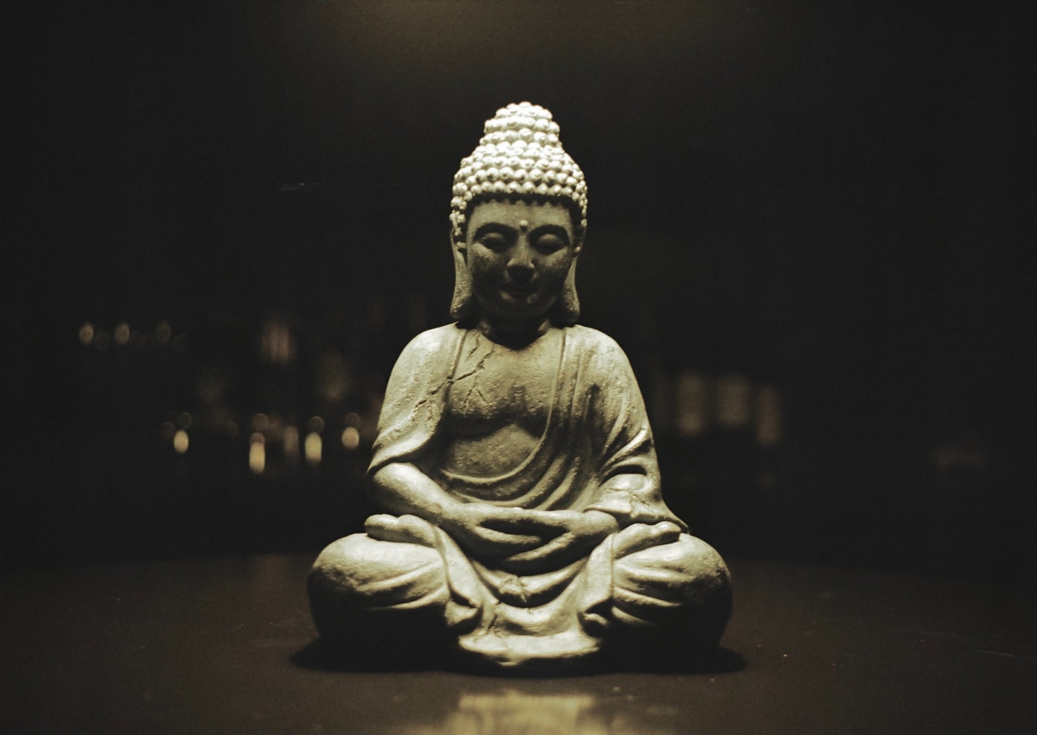 The Buddha Spot on Twitter: The Buddha Spot on Twitter: