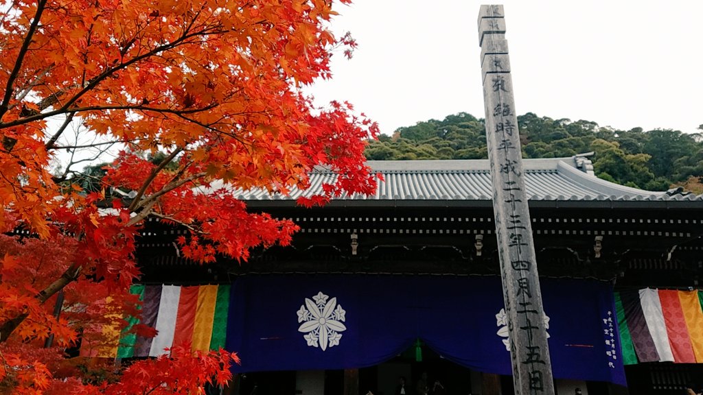 JapanTripGuidee's tweet photo. Eikandotemple in Kyoto!
I was impressed!! 
#Eikando #temple #kyoto #Japan #autumnleaves https://t.co/s9u2lvY1ig
