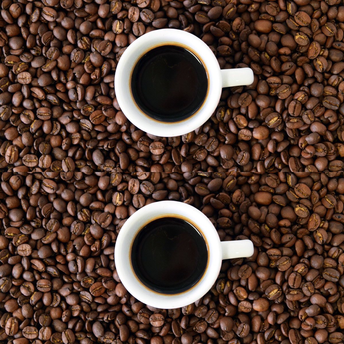 ElCarnalMx's tweet photo. Un buen día, comienza con un buen café. Etiqueta a alguien que no perdona su taza de café y cuántas se toma al día, 2, 3... ☕️ #FelizDomingo #ElCarnalMx #BuenosDíasATodos #díadelcafé #cafeexpresso #expressocoffee https://t.co/KCO7qvBjHf