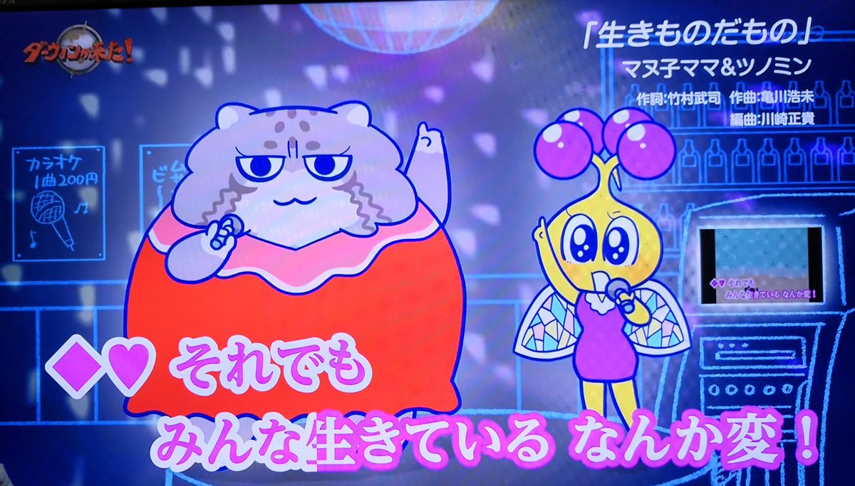 Pennta ツノミン 水瀬いのり マヌールの夕べ ダーウィンが来た マヌルネコ