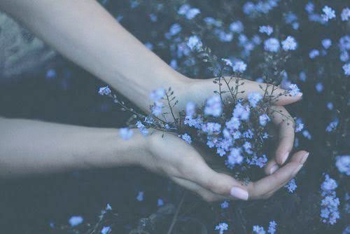 ✩‧₊˚ — ᴍʏ ᴅᴊᴀʀɪɴ — ✨🌿🌈 tweet media