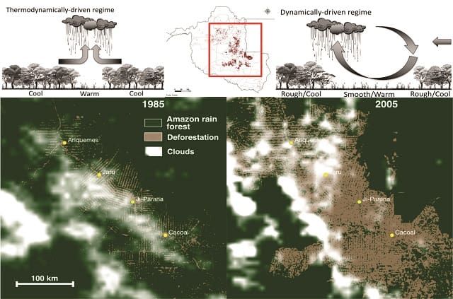 Peter Baker looks at deforestation caused by growing coffee and cocoa and at the complex issues that confound progress towards truly sustainable production
buff.ly/33XA9P0