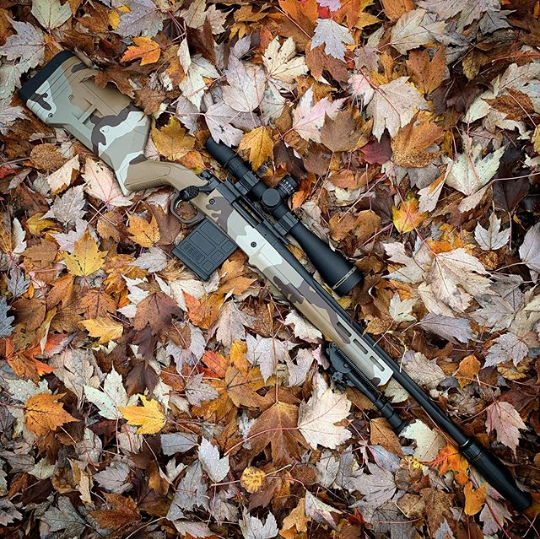 DeadAirSilencer's tweet photo. Get out more 🍁🍂
. . .
//📸 @ropestarcustoms
#deadairsilencers https://t.co/fuIHjtbTRx
