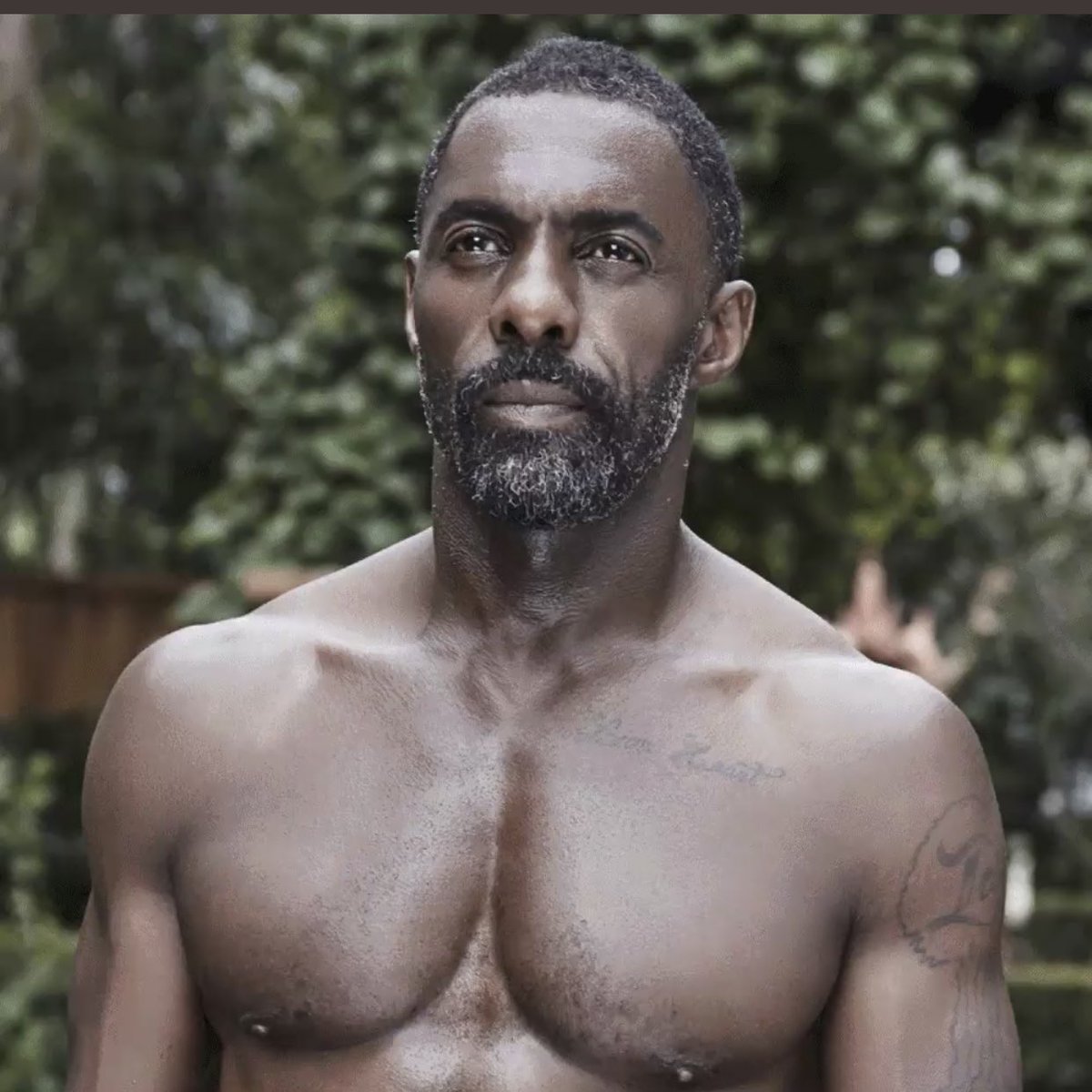 Slideshow idris elba nake.