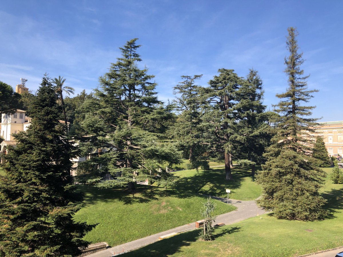 I have now returned to taking photos within The Vatican Museum. These photos once again show the beautiful outdoors from the windows within the hallways. I still find them to be very spectacular, especially with the great weather & atmosphere.