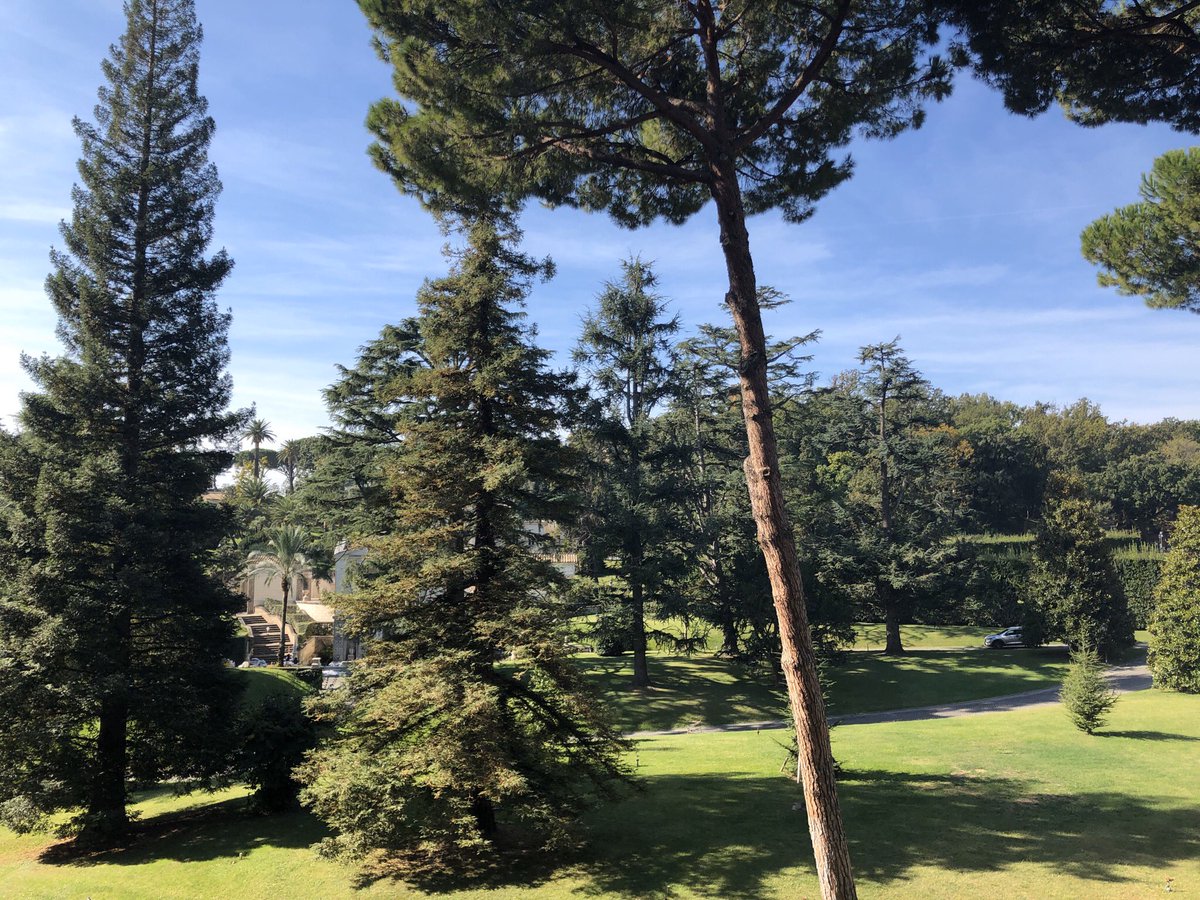 I have now returned to taking photos within The Vatican Museum. These photos once again show the beautiful outdoors from the windows within the hallways. I still find them to be very spectacular, especially with the great weather & atmosphere.