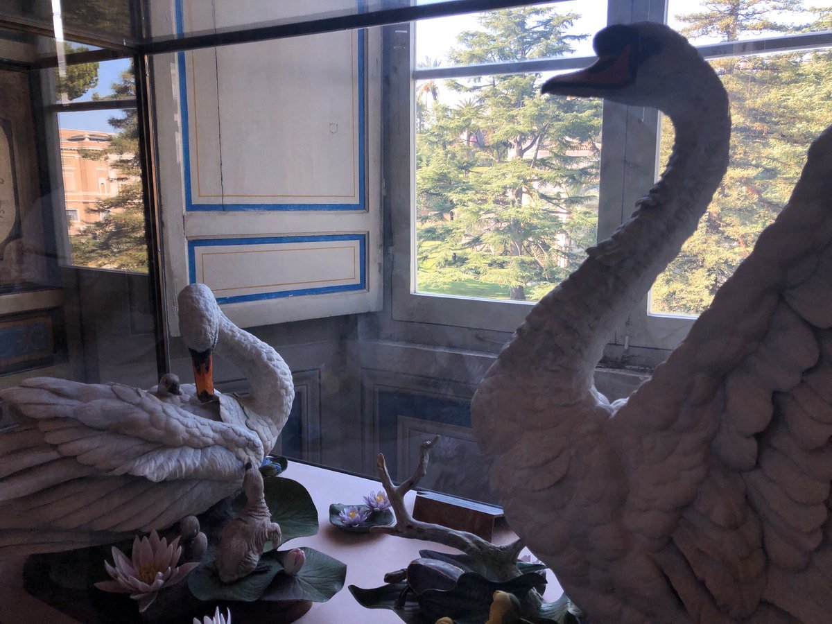 My final photos I’ve took within The Vatican Museum. They both show beautifully crafted sculptures based on the swans, the ducklings, & many elements one would find within a gentle lake environment. This artwork is known as the “Mute Swans Of Peace”, which is fitting & gorgeous.