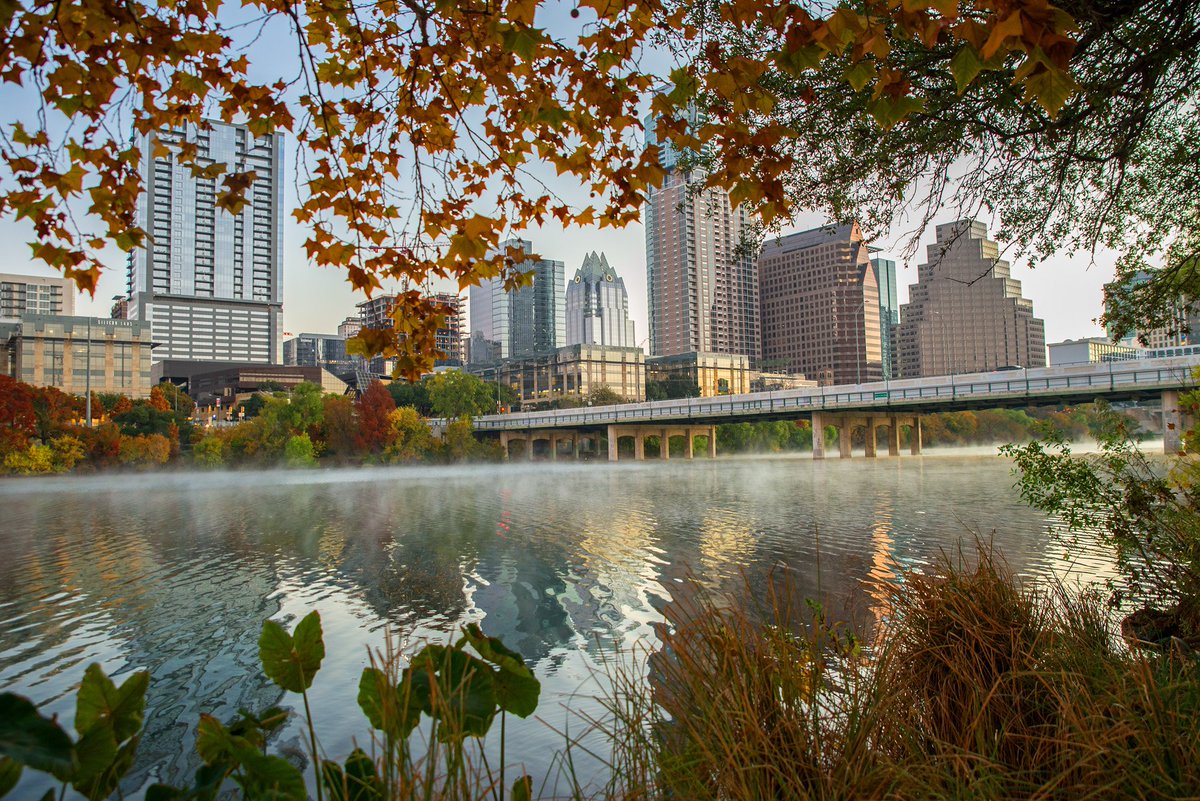 Manuel.G tweet media