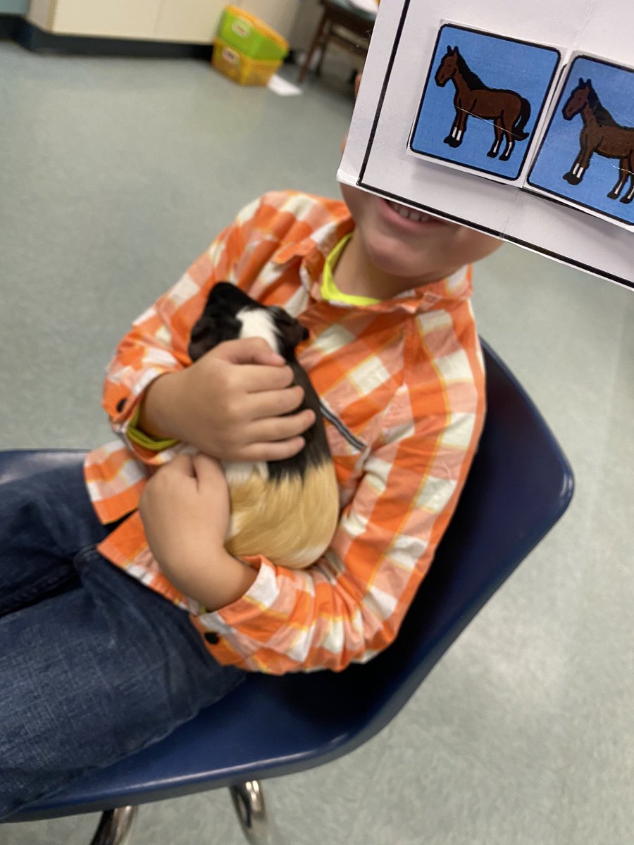 ACES_Peanut's tweet photo. I have the best handlers at @AmeliaElem! #classpet #petsintheclassroom @talesfrom205 https://t.co/YcaJMQ4agB