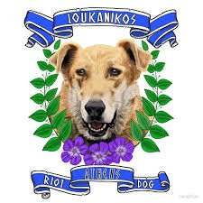 10)Mais on a aussi Loukanikos, "saucisse", le légendaire "chien d'émeute" égaré qui était présent à presque toutes les manifestations à Athènes jusqu'en 2012, attaquant les forces de police.